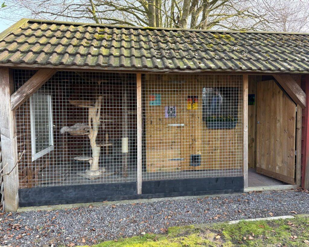 Verwarmd kattenverblijf met binnen- en buitenruimte in Nieuwe Pekela